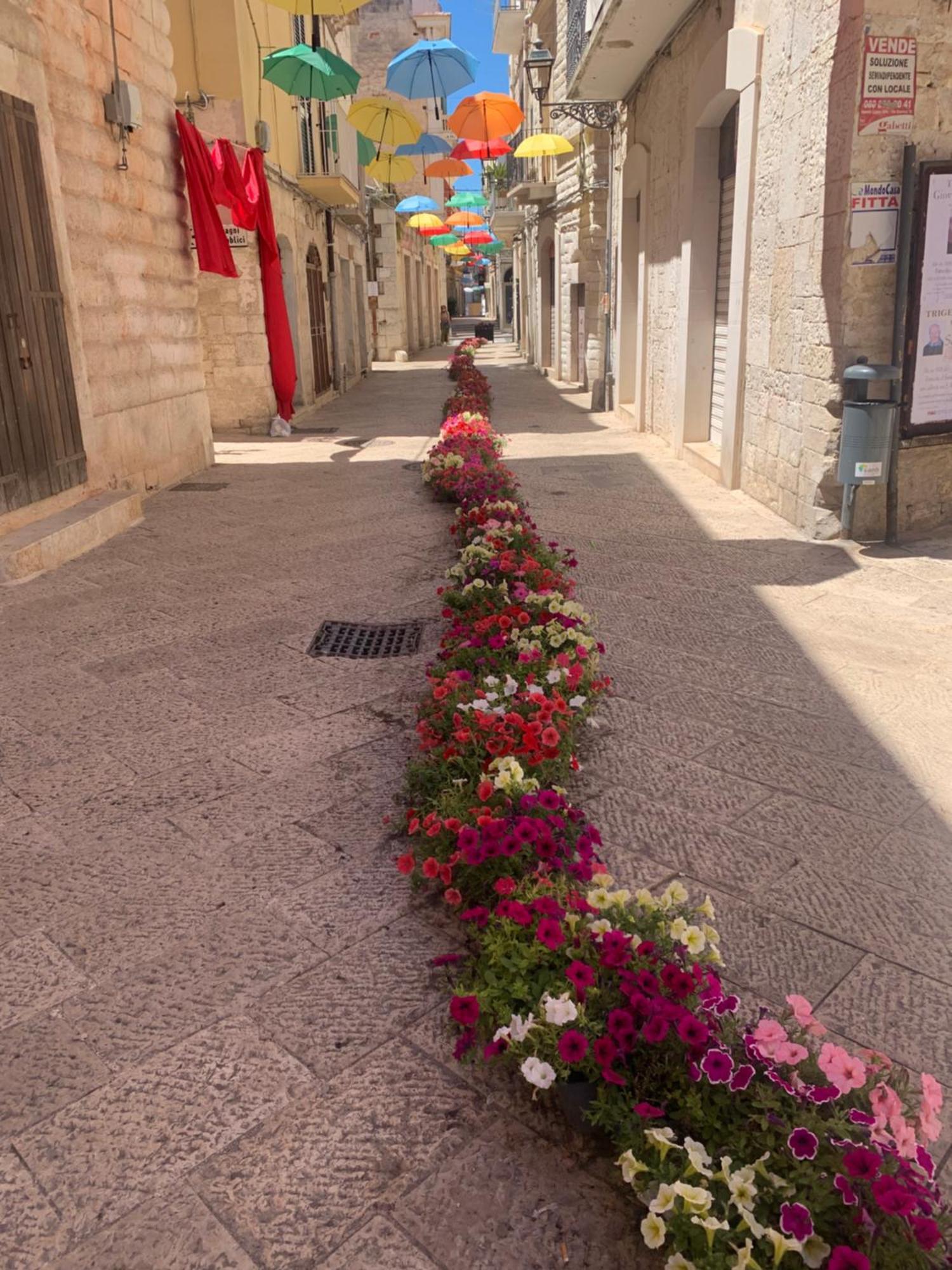 Appartamento Old Town Moschetti 20 Corato Esterno foto
